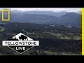 Yellowstone Live: Key Concepts and Figures