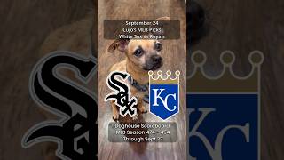 Cujo’s MLB Picks | Chicago White Sox vs Kansas City Royals ⚾ 09-24-2026 #CujoCatches