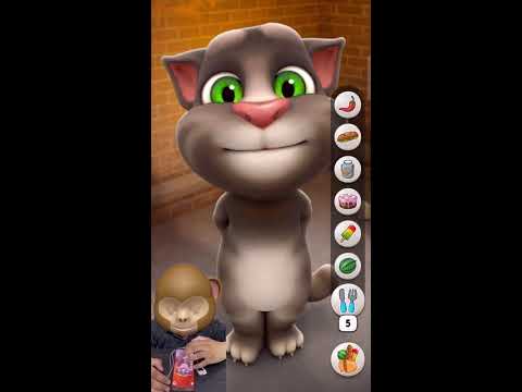 Talking tom cat VS Shape Shifting Game Live (Part 2) By Tom Cat Fun YT Channel