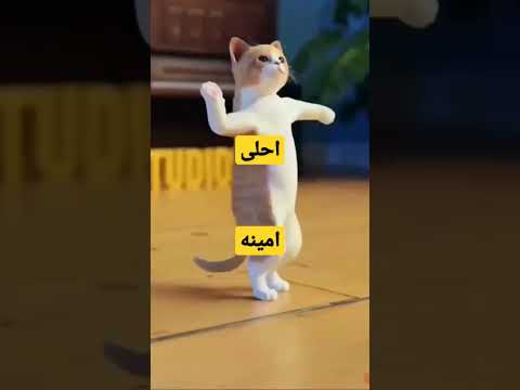 اهلا بك احلى امينه😍😍😘