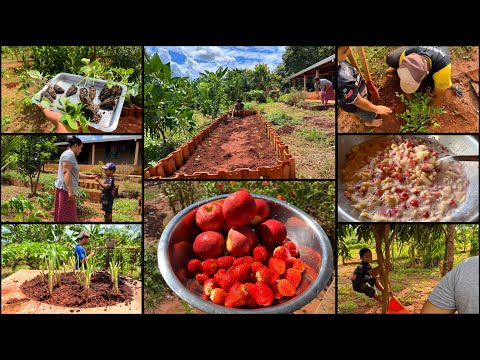 VOLTAMOS COM TUDO|TIRAMOS A TARDE PARA CUIDAR DA HORTA-NOSSA VIDA SIMPLES E FELIZ NA ROÇA 🤠❤️