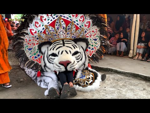 Cewek Cantik Dimakan Barongan Sekar Mulya Jaya Di Desa Geneng Mijen Demak