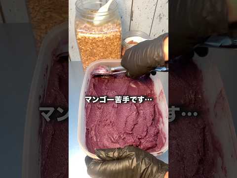 マンゴー苦手です…