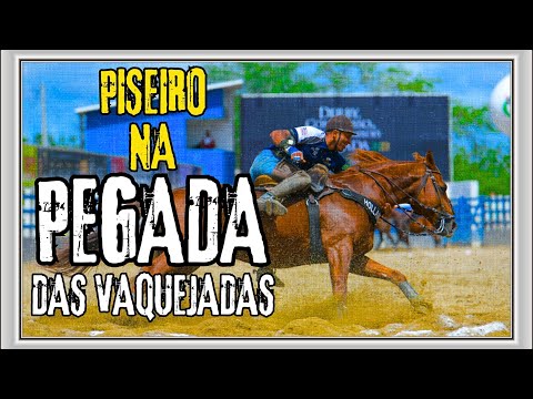 SELEÇÃO PISEIRO DE VAQUEJADA 2024 | PISADINHA NA PEGADA DE VAQUEIRO