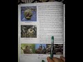 Bird Nesting Habits and Materials