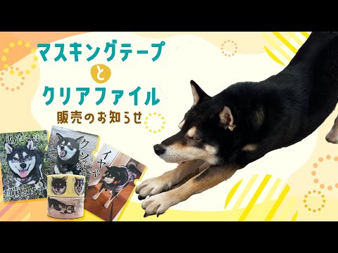 すみすみクリアファイルとマスキングテープ販売説明動画