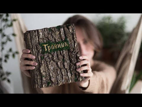 ТРАВНИК МАШЕРИШИ 🌿 | Masherisha