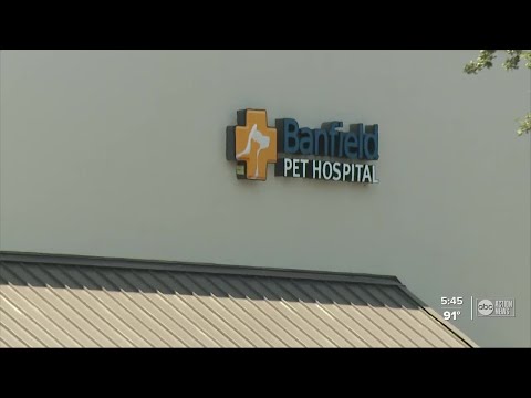Banfield Pet Hospital Cancel Appointment Jobs Ecityworks
