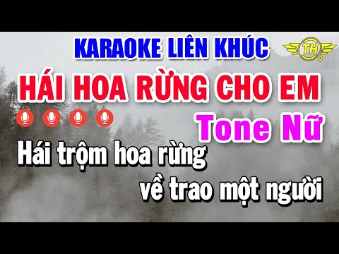 Karaoke Liên Khúc Tone Nữ Chọn Lọc | Hái Hoa Rừng Cho Em – Chỉ Có Bạn Bè Thôi