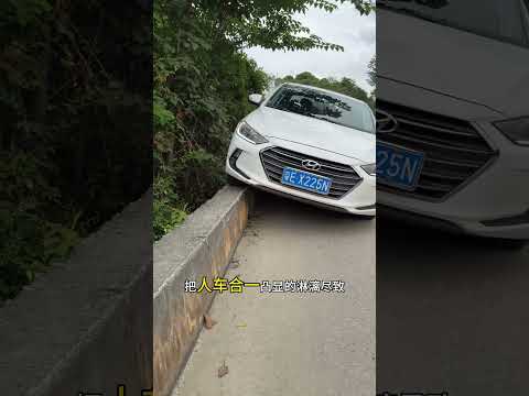 乡村窄路偶遇女司机,这技术没得两年半练不出来,高手在民间! #驾驶技巧 #每天一个用车知识