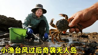 颱風洗禮後的無人島寶藏！小漁撿到手軟，海貨堆成山，血賺！ 【漁小仙】