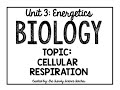 Cellular Respiration Concepts