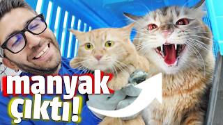 CIYAK CIYAK BİR GÜN 😂