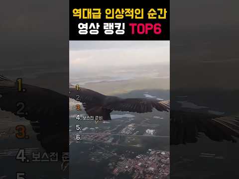 소리를 확인하지 마세요 😭😭