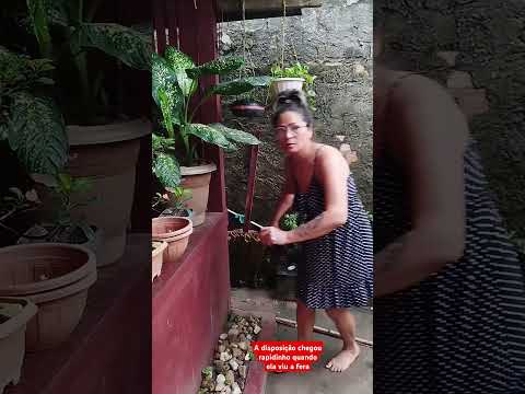 #avizinha dessa vez a vizinha foi esperta