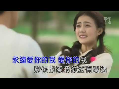 永遠愛你的我 – 祁隆   (KTV 伴奏版)