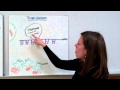 Exploring RNA Structure and Protein Synthesis