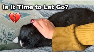 When to Euthanize Your Rabbit & What to Expect 💔 | Lennon’s Story