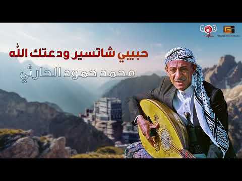 محمد حمود الحارثي | حبيبي شاتسير ودعتك الله (تسجيلات حصرية ونادرة)