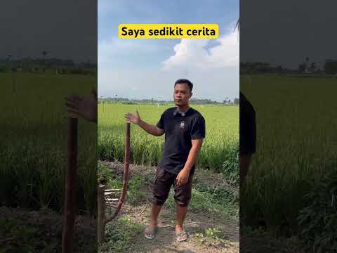 Jangan komen kalo belum tonton part 2