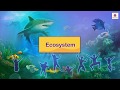 Biosphere and Ecosystem Concepts