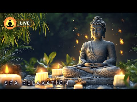 Deep Spa Meditation 24/7 | Healing Stress &amp; Anxiety | Calming Music