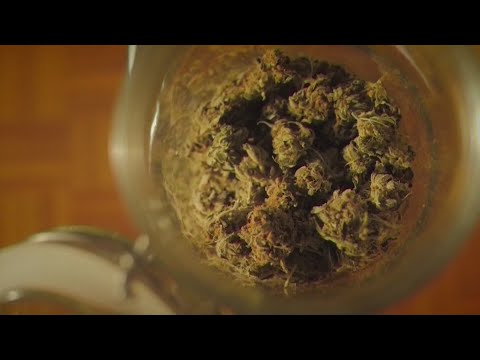 YouTube video thumbnail: World Health Organization Recognizes Mysterious Disorder Associated With Marijuana