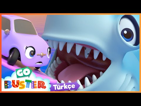 Köpekbalıklarını Kurtarmak ve Dinozorla🦈🦖| Go Buster Türkçe - Çocuk Çizgi Filmleri