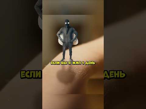 Если бы осталось жить один день😅 #короче #сериал #кино #shorts
