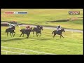 Horse Racing Performance Analysis