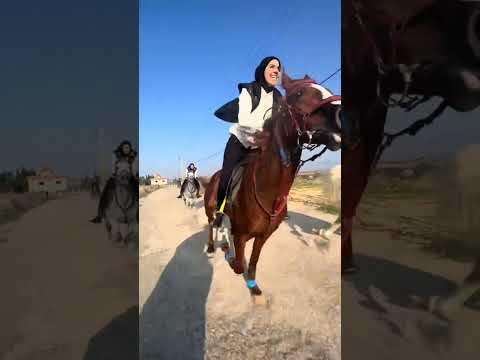 #خيل #فرسان #حصان #شيلات