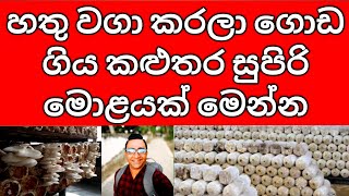 බිම්මල් වගාවෙන් ලක්ෂ ගණන් ආදායමක් – Sri Lankan Mushroom Business Success Story