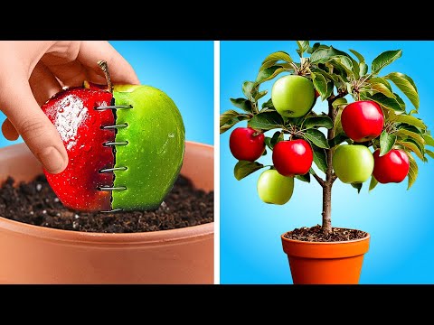 🌱 15 GARDENING HACKS YOU'LL WISH YOU KNEW SOONER! 🌿😲