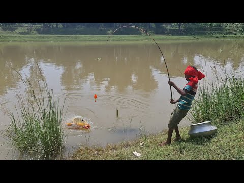 Amazing Big Fish Hook Fishing in River