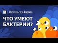 Разнообразие жизни и роль бактерий