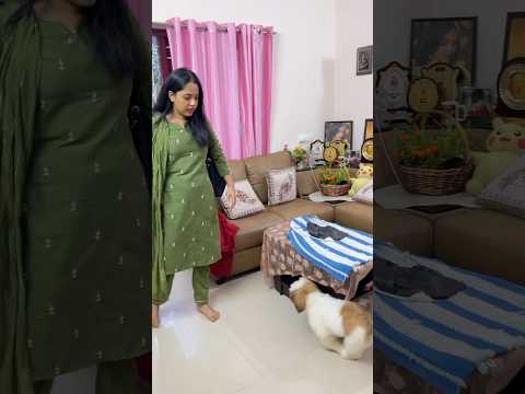 ഞങ്ങളുടെ ഒരു വലിയ സന്തോഷം ❤️❤️