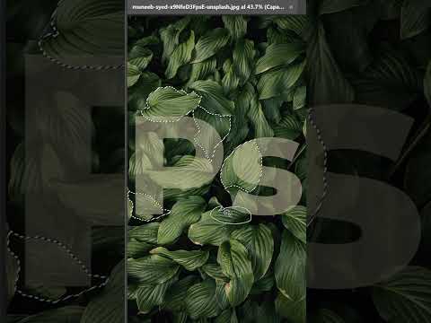 Hack de #Photoshop para crear un texto entre hojas