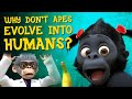 Understanding Evolution and Human Ancestry