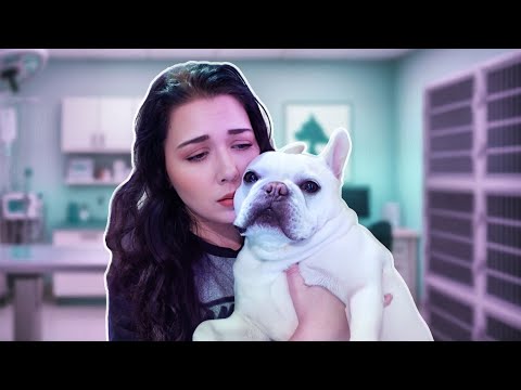 We Spent The Day At The Animal Hospital 😢