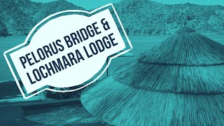 Pelorus Bridge, Queen Charlotte Drive & ein Besuch in der Lochmara Lodge in Picton - Vlog #91