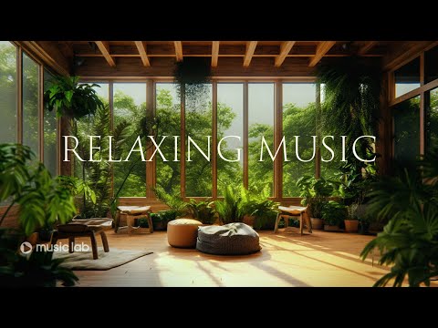 Calm Ambient Meditation Music