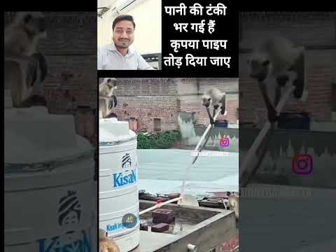 camera man also responsible 😁 #funny #funny 👌😭🤣