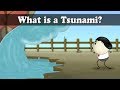 Understanding Tsunamis
