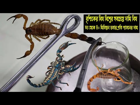 বিচ্ছু পোকা চাষ পদ্ধতি ও সুবিধা অসুবিধা - নতুন ব্যবসার আইডিয়া বিচ্ছু চাষ - Scorpion Farming