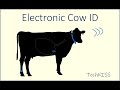 Electronic Identification (EID) Systems in Cattle