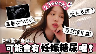 VLOG 眨眼來到23週?! 懷孕會甩牙?! 產檢DAY照高層次! 只希望聽到「正常」... 一整天都在跑醫院....? 被告誡可能有妊娠糖尿?  🐝 Mira 咪拉