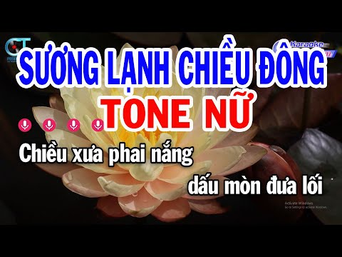 Karaoke Sương Lạnh Chiều Đông Tone Nữ ( Am ) Nhạc Sống Beat Mới | Karaoke Đồng Sen