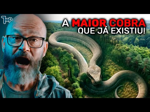 15 MAIORES ANIMAIS QUE JÁ ANDARAM NA TERRA