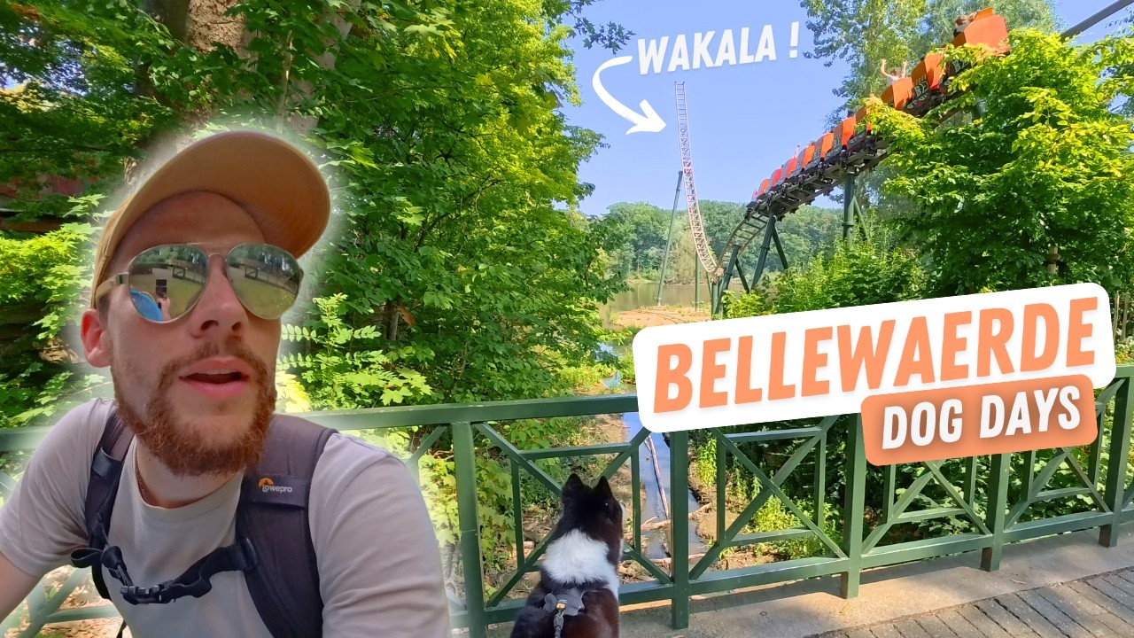 🎢JAMAIS on a fait ça dans un parc d'attractions : BELLEWAERDE Dog Days !