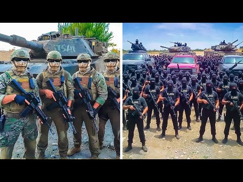 US Army vs Mexican Cartels - Who Would Win? Military Comparison